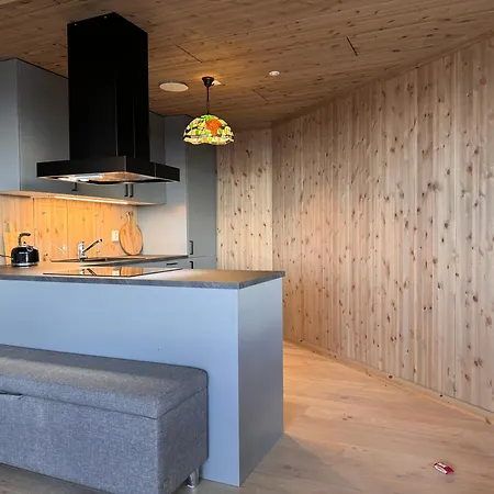 New Modern Ski In Out In Lejlighed *