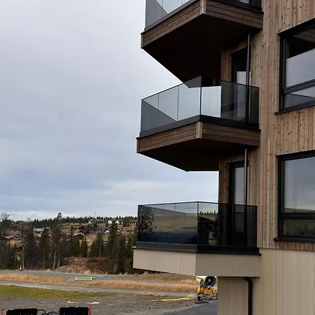 New Modern Ski In Out In *