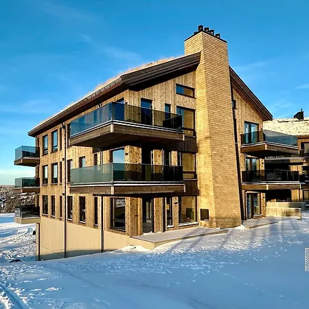 New Modern Ski In Out In *