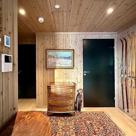 New Modern Ski In Out In